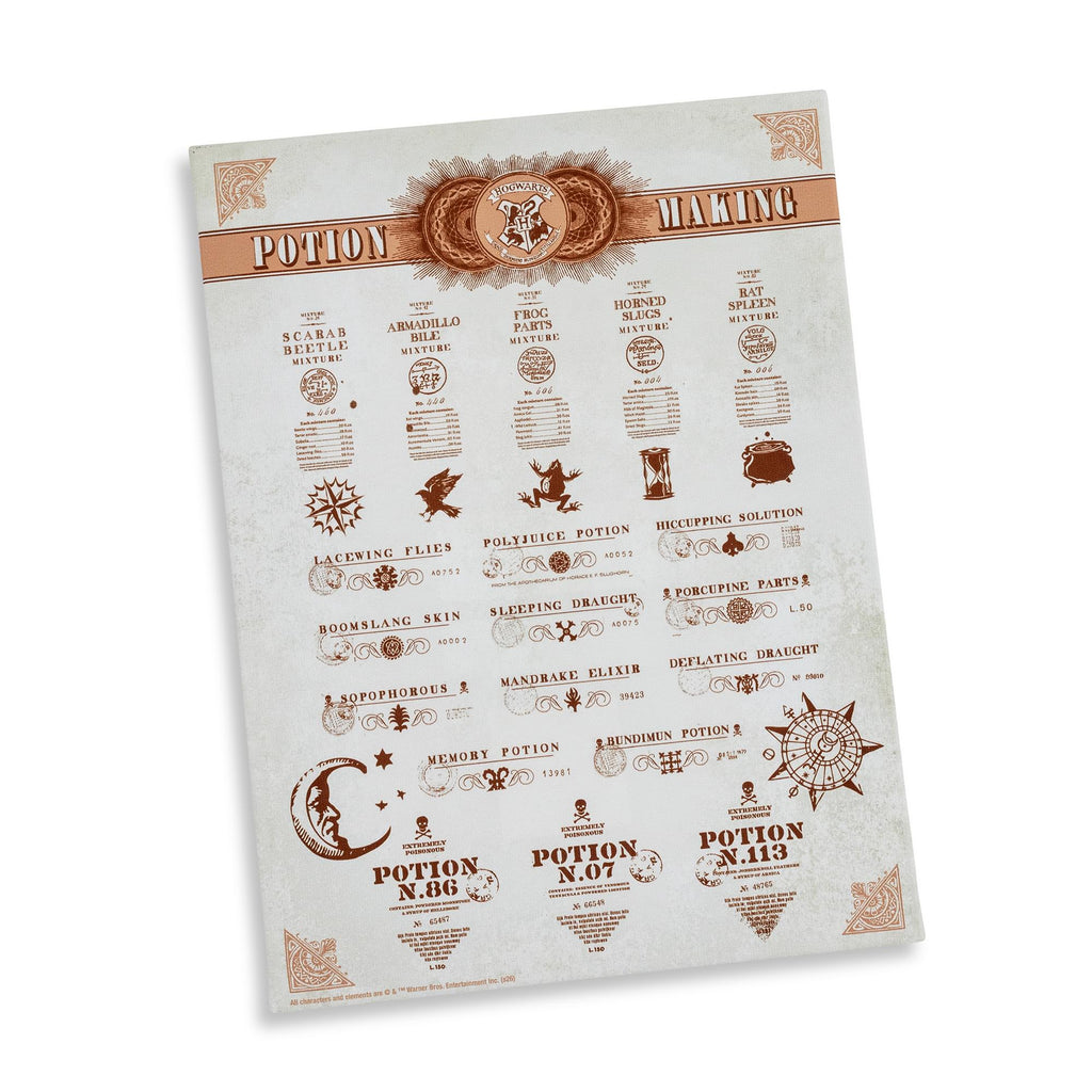 Harry Potter Potion Chart Canvas Wall Art With Magnets | 7.5 x 10 Inches